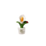 Gli Alberelli - kit 8 pz Magneti Fiori e Frutta - immagine 6