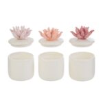 Le Stelle - Scatola Corallo Candela 3Ass. 6x6xh. 8,5cm - immagine 3