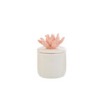 Le Stelle - Scatola Corallo Candela 3Ass. 6x6xh. 8,5cm