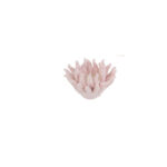 Le Stelle - Corallo Candela 3Ass. 12x12xh. 7cm