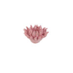 Le Stelle - Corallo Candela 3Ass. 12x12xh. 7cm