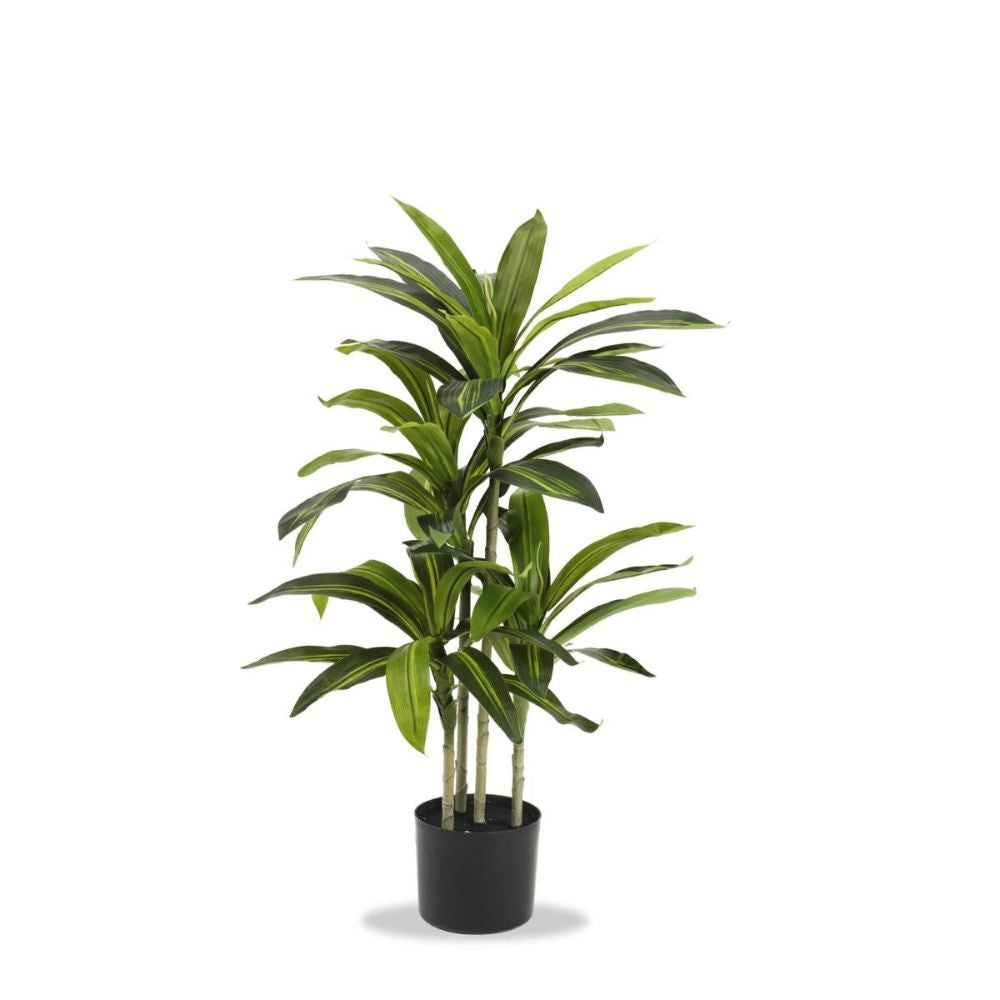 Progettosenzatitolo-2026-03-26T102626.834 Fantin - Set 2 Piante Tropicale con Vaso - immagine 1