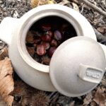 Wald & co - Cuocipatate-cuocicastagne - immagine 3