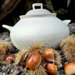 Wald & co - Cuocipatate-cuocicastagne - immagine 4